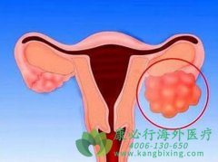 �ѳ���ҩ�����������Ͱ���������ȸ���ʲô���ƣ�