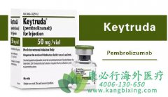 ������ҩ���������鵥��(Keytruda)���׸�����ʳ�ܰ�PD-1�����Ʒ�