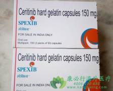 ����ҩ����������(Ceritinib)�ڸ�ת������Ч����