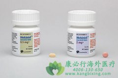 �͹ۻ����ʷ�������ҩ����������(trametinib)��ɱ�ѳ�����׼���Ʒ���