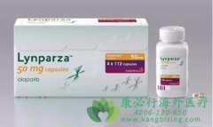 ����ҩ���������(Olaparib)��ʹ��ע�����ҩ���໥����