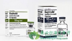 ��������ҩ����ķ����(Pembrolizumab)�Ĳ�����Ӧ��ע������