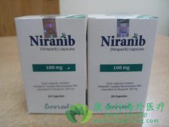 ����ҩ����������(Niraparib)������ѳ������ߵ��޼�����չ������