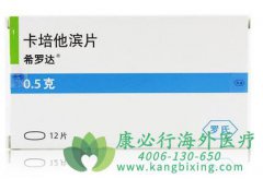 ������ҩ�￨������Ƭ(Capecitabine)�ķ�ҩ������ע������