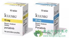 ��������/��������(Ponatinib)����˵����
