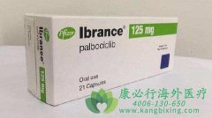 ���ٰ�������ҩӡ����������(palbociclib)�ĸ����ü���������