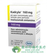 FDA������׼���������鵥��(t-dm1)����������Ӧ֢