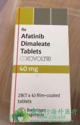 �ΰ�ALK/ROS1ͻ��ɫ������(ceritinib)��ҩ���ԸĻ���������(afatinib)