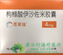 �۽���ɳ����(Ixazomib)���ƹ���������ʵ�����о�