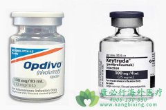 ������ҩ������(Keytruda)�������ƺ�ɫ�������ٴ�Ӧ��ָ��