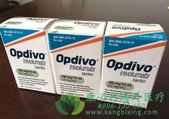 �����������䵥��(Nivolumab)�����ڷ�Сϸ���ΰ������е���ȫ���ݻ��ܷ���