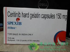 ����ҩ����������(Ceritinib)��������ALK+NSCLC����ѹ����ҩ�ﾭ��ѧ����