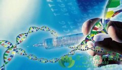 ��ŵ����(Denosumab)��ڷ�˫������ڹ�������֢�����е���ҩ�����Լ��ɱ�Ч���Ƚ�