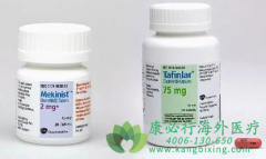 ��������Ͱ���ҩ����������(trametinib)����BRAF����NSCLCһ�����Ʒ���