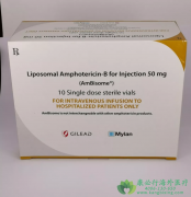 ������ʹ�ð�����(Ambisome)���Ƽ���ʱӦ��ע����Щ���