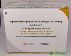 ������/ע����ù��B֬����(Ambisome)�ڹ�������ҽ������