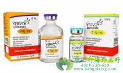 ��ƥľ����(YERVOY)��ҩ��Ϣ/ʹ�÷����������ģ�