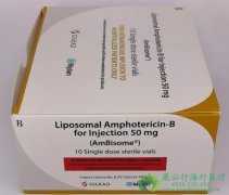 ������(AmBisome)�÷������������ĸ����ע�䣿