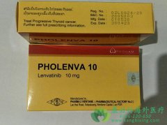 �ַ�����/�ط�����/������(Lenvatinib)��������������Щ����δ�����