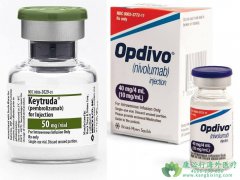 ŷ����(OPDIVO)��Сϸ���ΰ���������ҩ��ѡ��