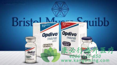 ������ķ����(PEMBROLIZUMAB)�ﵽ��ȫ����Ļ���ͣҩ�󻺽�ʱ�仹��������?