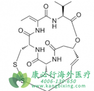 �������׵���(ROMIDEPSIN)��ע������