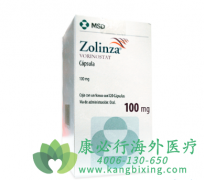 ����ŵ˾/����ŵ��(ZOLINZA)���ƹ��̼����