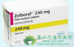 άĪ����/������/ά�޷���/���޷���(VEMURAFENIB)ע������