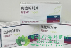 ��������/��������(LYNPARZA)�ĸ����ñ�������������