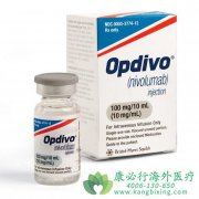 ŷ����(Opdivo)�Ϳ����(Keytruda)��������Ч����ô����