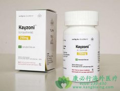 �ΰ���������/��������(Crizotinib)��ҩʱ��ô�죿