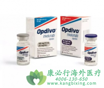 ŷ����(OPDIVO)���Ʒ�Сϸ���ΰ���Ч��Σ�