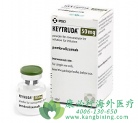 �������鵥��/�����(KEYTRUDA)������ҩ�������ٴ����