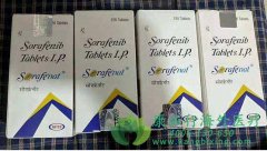 ��������/�༪��(SORAFENIB)��׼�������ƽ�չ�ڸ�ϸ����(HCC)����