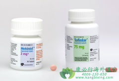 �������������������V600Kͻ�仼�ߵ�һ����׼����ѡ��