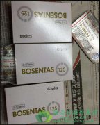 ����̹/ȫ����(BOSENTAN)��Էζ�����ѹ������Ч������