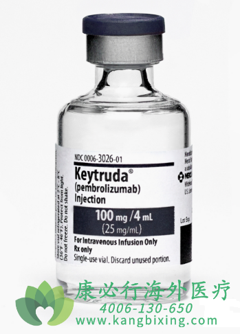 ķ( pembrolizumab/KEYTRUDA)