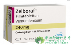 ���޷���(VEMURAFENIB)��������BRAFͻ�������ں��������ߣ�
