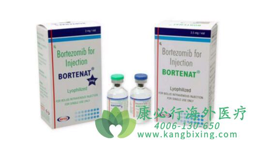 (Bortezomib)