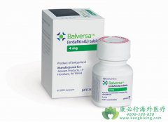 �������(ERDAFITINIB)�ٴ��İ�ȫ�Ժ���Ч�Ա�����Σ�