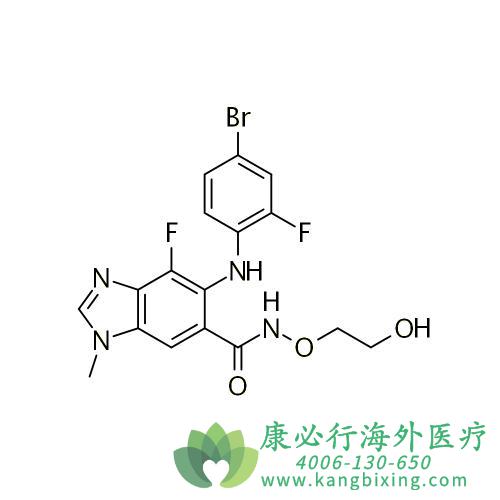 比美替尼图片