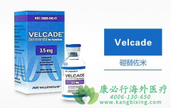 �෢�Թ��������ܰ���ҩ����������/����(VELCADE)�Ľ���˵��