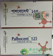 ��������(PALBOCICLIB)���ٴ��ϱ���׼�����������ٰ���