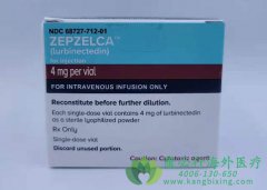 ³�ȿ���/¬�ȿ���(ZEPZELCA)�밢ù�����ÿ�����Сϸ���ΰ�����