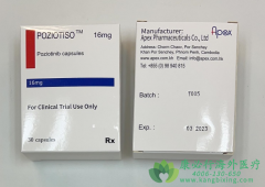 ��������/��������(POZIOTINIB)�ٴ�ʵ�������Ч��������Σ�