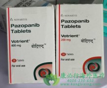 ��������/��������(PAZOPANIB)�Ƕ�е�����ҩ����