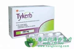 ��������/̩��ɳ(LAPATINIB)�������ڸ�ϸ�����İ�ȫ�Ժ���Ч��Σ�