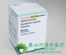 ŵ������������SMA�ϲ����ؼ������ε�Ч����Σ�