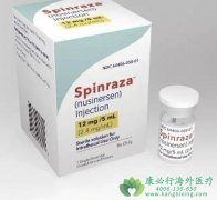 ŵ�������Ƴ�ΪSMA����Ч�����ֶΣ�