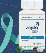 ��������(NIRAPARIB)������ϸ����DNA���˵��޸���